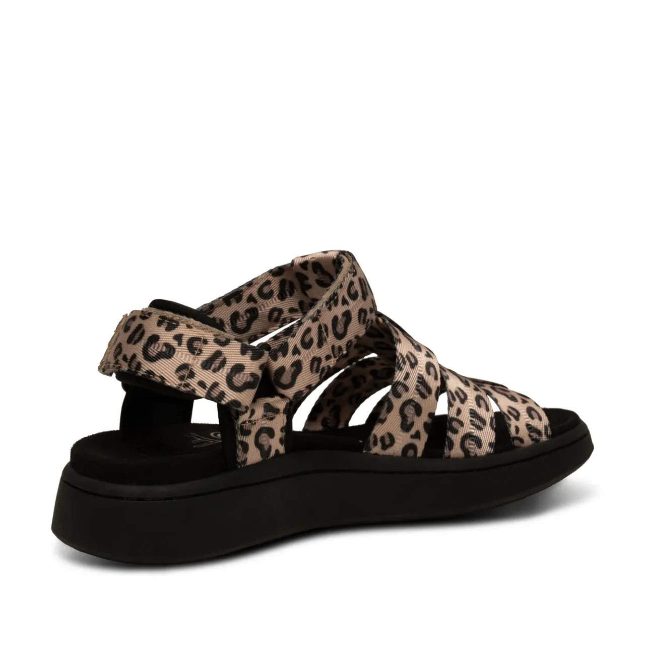 WODEN Line Fisherman - Leopard Clearance